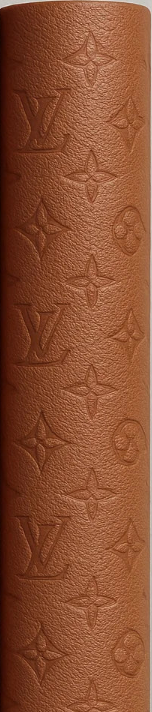 LV Embossed Leather Print Out